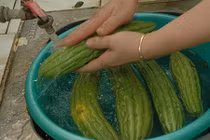 Rau ngâm nước muối có loại hết thuốc trừ sâu?