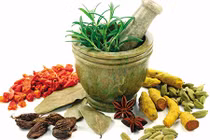 Bài thuốc Sinh địa bát vật giúp ổn định đường huyết