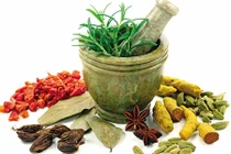 Bài thuốc Sinh địa bát vật giúp ổn định đường huyết