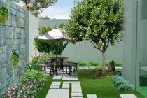 Trồng cây trong sân nhà thế nào cho hợp phong thủy?