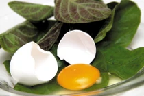 8 món ngon, bài thuốc từ trứng gà cực tốt