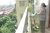 Phong thủy: Không trồng quá nhiều cây ở ban công chung cư