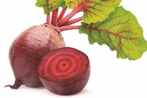 Chữa táo bón cực nhạy bằng củ dền