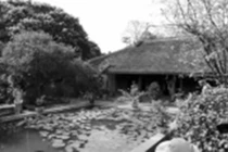 Vì sao không áp dụng phong thủy cứng nhắc? 