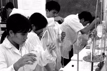 Hãy để nhà khoa học trẻ toàn tâm cống hiến
