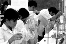 Hãy để nhà khoa học trẻ toàn tâm cống hiến