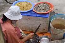 Cách nhận biết tôm, cá “ngậm” urê