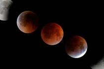 Nguyệt thực làm phụ nữ mắn đẻ hơn? 