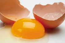 Món ăn hỗ trợ điều trị ung thư máu