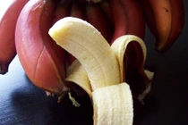Chuối đỏ giá cắt cổ có giá trị dinh dưỡng như chuối thường