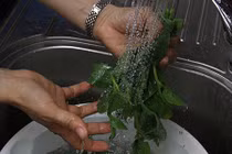 Nên ngâm rau bao lâu sau khi rửa?