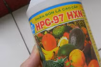 Mục sở thị hóa chất làm chín trái cây siêu tốc