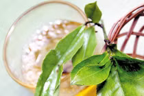 Nấu nước chè xanh, nên chọn lá già