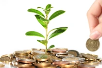 Lão chồng nông dân vụng trộm nuôi em gái học đại học