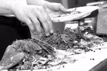 Phương thuốc giải bệnh ung thư dạ dày