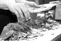 Phương thuốc giải bệnh ung thư dạ dày