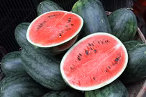 Dưa hấu để nửa năm không hỏng không phải do hóa chất