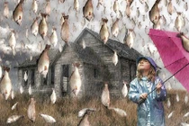 Lý giải hiện tượng mưa động vật