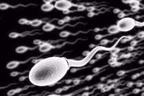 Tinh dịch màu vàng có ảnh hưởng đến sinh con