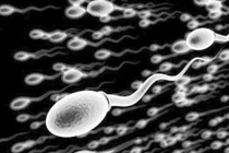 Tinh dịch màu vàng có ảnh hưởng đến sinh con