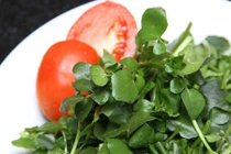 Lý do ăn cải xoong dễ nhiễm sán lá gan