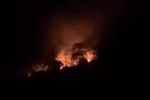 Khống chế cháy rừng tại Vườn quốc gia Ba Vì