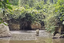 Nước suối Lèn Cò Noóng bị ô nhiễm từ nước thải trang trại lợn