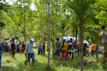 Người phụ nữ chết tức tưởi vì “lời hẹn ước đến kiếp sau“