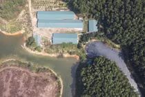 Thanh Hóa: Xử phạt chủ trại lợn xả thải trái phép ra môi trường