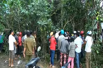 Thảm án 5 phu trầm bị sát hại và hành trình tìm kẻ thủ ác