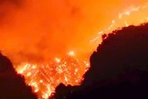 Cháy rừng ở Hà Nam, huy động hàng trăm người tham gia chữa cháy