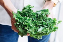 Điểm danh 10 loại thực phẩm giúp cân bằng hormone cực tốt