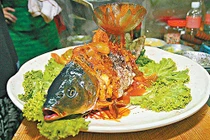 Món ăn tàn ác, đọa đày con vật “sống dở chết dở” mới ưng lòng