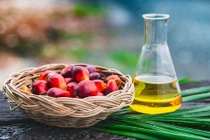 4 loại dầu tưởng tốt nhưng có hại, triệu người ăn mà không biết