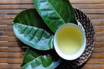 Mẹo chữa bỏng rộp da do cháy nắng bằng nguyên liệu thiên nhiên