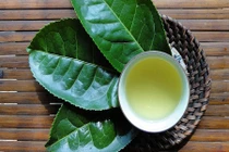 Mẹo chữa bỏng rộp da do cháy nắng bằng nguyên liệu thiên nhiên