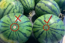 Cách chọn dưa hấu siêu đơn giản, đảm bảo dưa ngon ngọt, nhiều nước