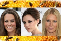 Làm đẹp bằng nọc ong như Công nương Kate có hiệu quả