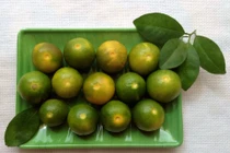 Công thức làm sinh tố sữa tắc thơm ngon, ngọt mát