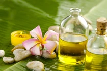 Dưỡng tóc bóng khỏe ngày giao mùa với dầu dừa