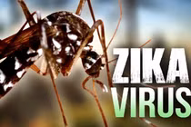 Việt Nam công bố 2 ca nhiễm Zika đầu tiên, một người đang mang thai