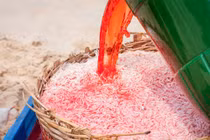 Không kết luận được loại phẩm màu nhuộm ruốc