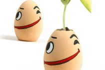 Lý do bạn nên ăn trứng mỗi ngày