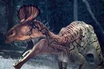 Kỳ lạ loài khủng long có “mái tóc hài hước” giống chiếc lược dựng ngược 