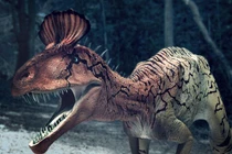 Kỳ lạ loài khủng long có “mái tóc hài hước” giống chiếc lược dựng ngược 