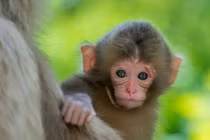 30 ngày tới, 3 con giáp Trời ban lộc lớn, tiền đẻ ra tiền