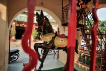 Tập tục kỳ lạ ở ngôi chùa thờ ngựa trứ danh Nam Bộ