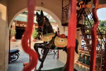 Tập tục kỳ lạ ở ngôi chùa thờ ngựa trứ danh Nam Bộ