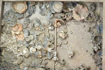 Nóng: Phát hiện mộ vua niên đại 5.000 năm ở Trung Quốc