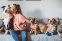 Thói quen ôm hôn chó mèo: Cẩn thận các bệnh ký sinh trùng nguy hiểm!